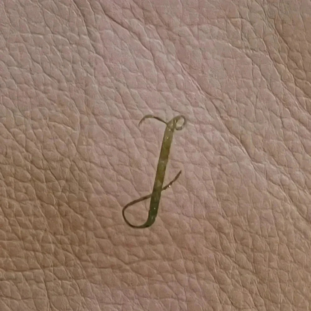 G.I.L.I Light Pink Monogramed “J” Wristlet - Picture 2 of 4